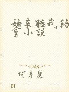 她来听我的演唱会小说