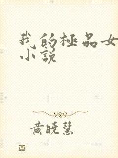 我的极品女老师小说封面