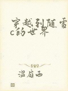 穿越到随处可以c的世界