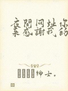 夜间网址你会回来感谢我的