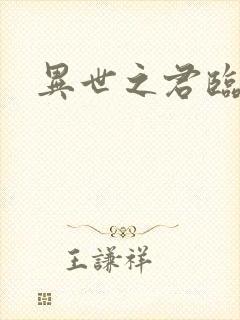 异世之君临天下封面