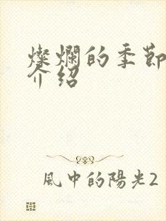 灿烂的季节剧情介绍