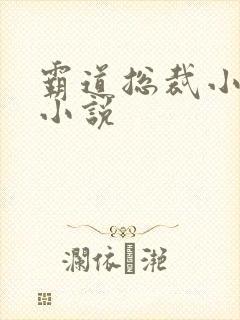 霸道总裁小娇妻小说