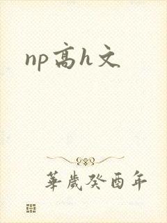 np高h文