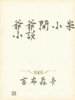 爷爷开小米的包小说
