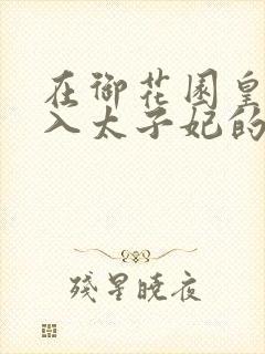 在御花园皇上进入太子妃的小说
