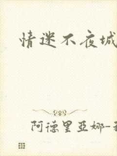 情迷不夜城