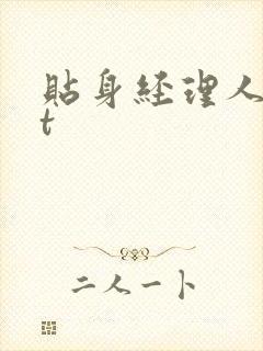 贴身经理人txt封面