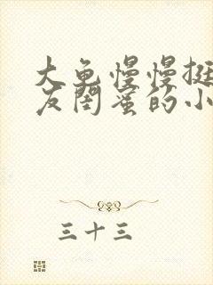 大龟慢慢挺进女友闺蜜的小说封面