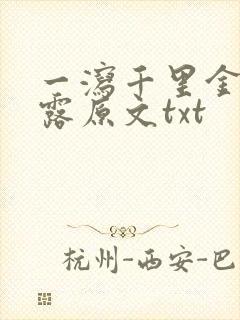 一泻千里金银花露原文txt封面