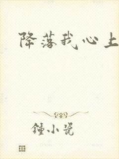 降落我心上封面