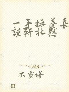 一手抚养长大小说靳北然