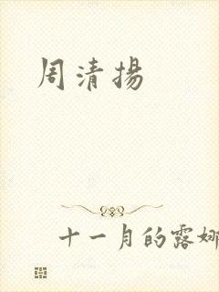 周清扬封面