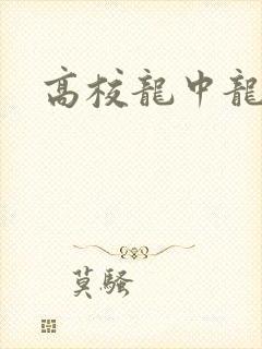 高校龙中龙