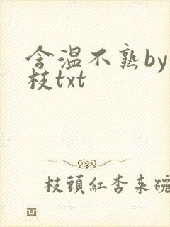 含温不熟by词枝txt