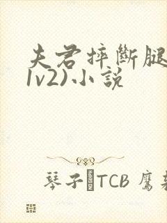 夫君摔断腿后(1v2)小说