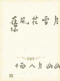 在风花雪月里等你封面
