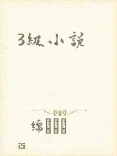 3级小说