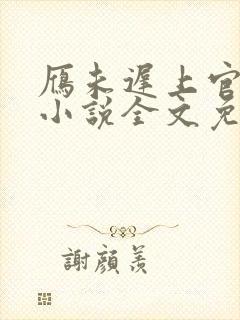 雁未迟上官穿越小说全文免费阅读