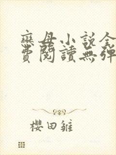 恋母小说全文免费阅读无弹窗笔趣阁