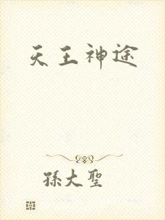 天王神途