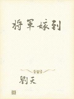 将军嫁到