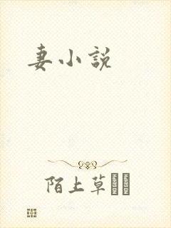 妻小说