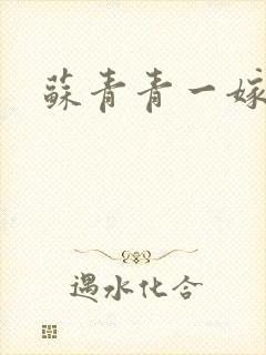 苏青青一嫁三夫