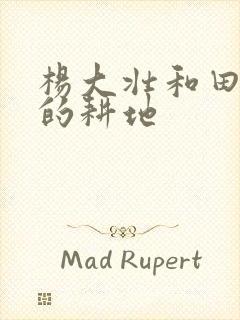 杨大壮和田桂花的耕地