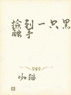 捡到一只黑心小触手