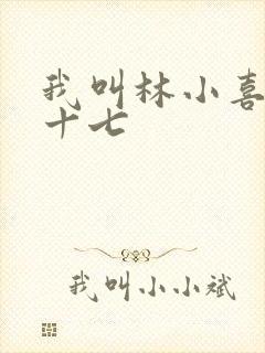 我叫林小喜今年十七封面
