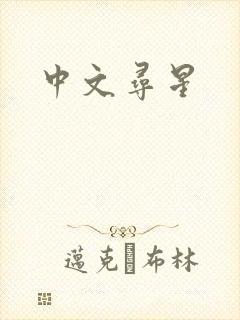中文寻星