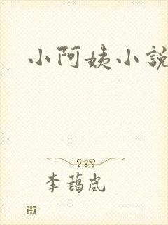 小阿姨小说