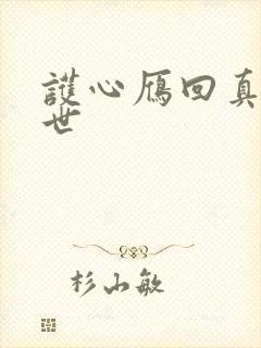 护心雁回真实身世封面