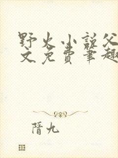 野火小说父女全文免费笔趣阁