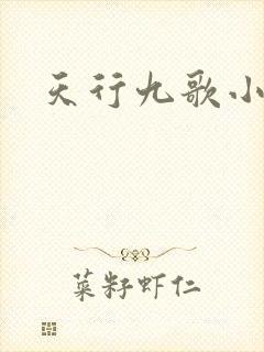 天行九歌小说封面