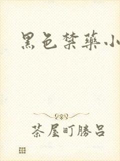 黑色禁药小说封面