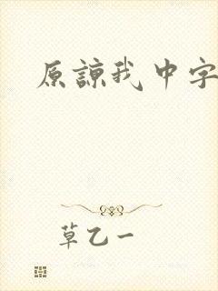 原谅我中字