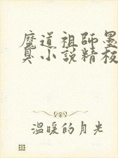 魔道祖师墨香铜臭小说精校版