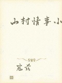 山村情事小说