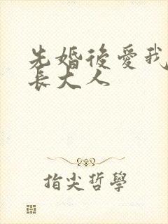 先婚后爱我的市长大人封面