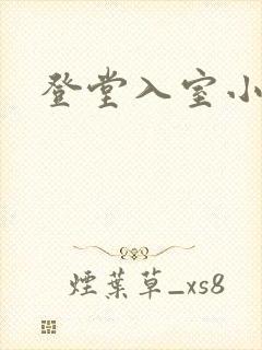 登堂入室小说