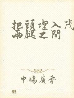 把头埋入茂密的两腿之间封面