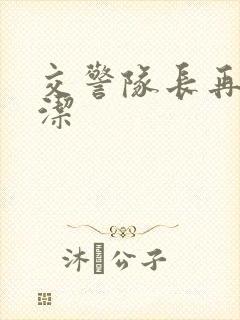 交警队长再遇白洁封面