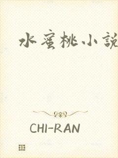 水蜜桃小说封面