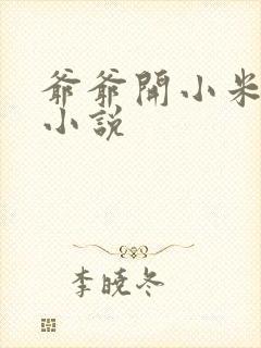 爷爷开小米的包小说