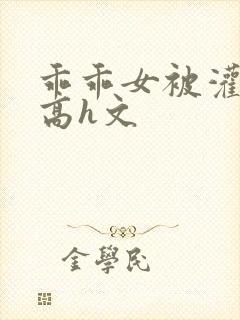 乖乖女被灌满精高h文