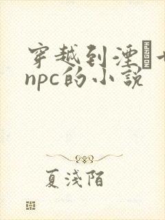 穿越到湮婸世界npc的小说