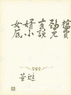 女婿有劲枪枪到底小说免费阅读封面