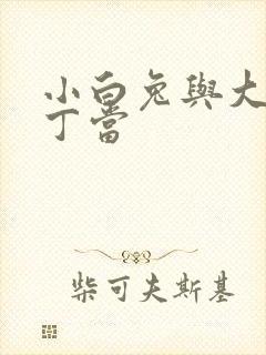 小白兔与大灰狼丁当